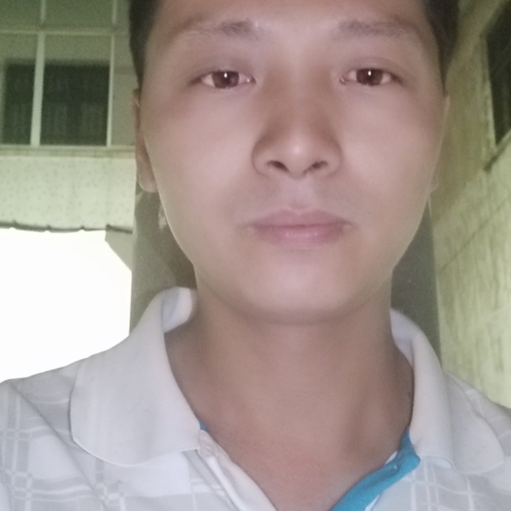 小蚂蚁拾忆落寂的照片