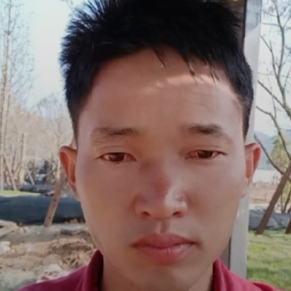 不在飘泊的照片