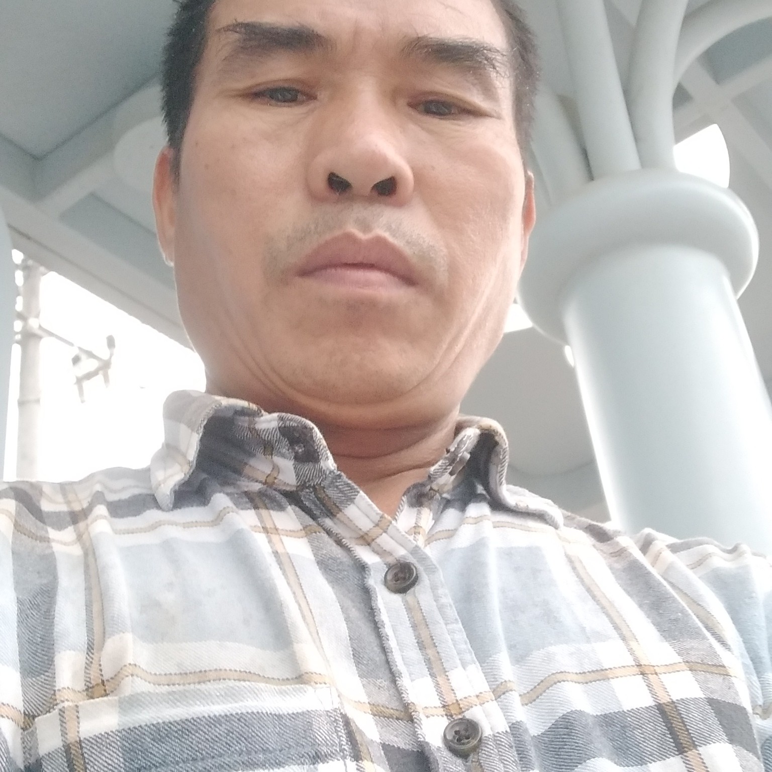 稳重泪了小天鹅的照片