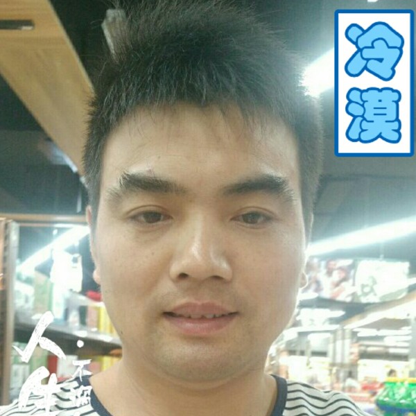 孤独大雁飞南方的照片