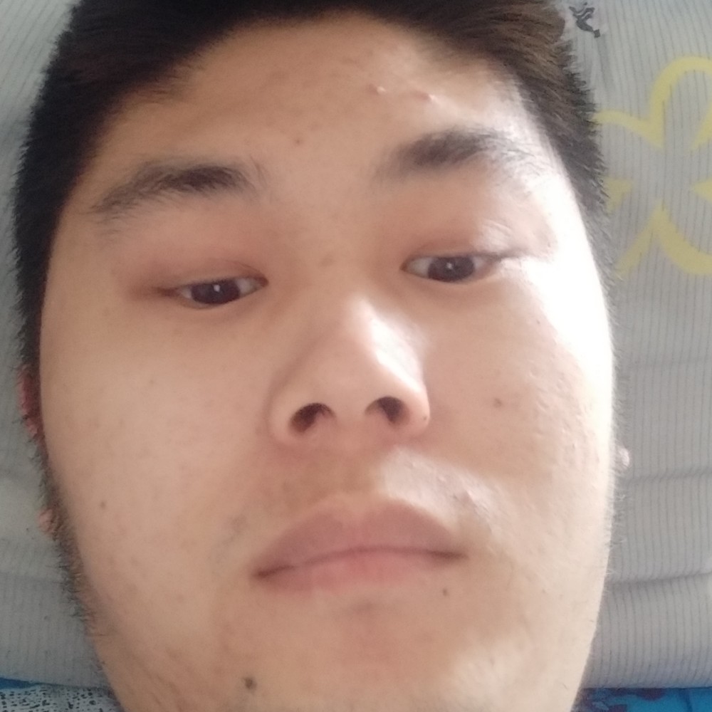 蜜蜂闻苹果的照片