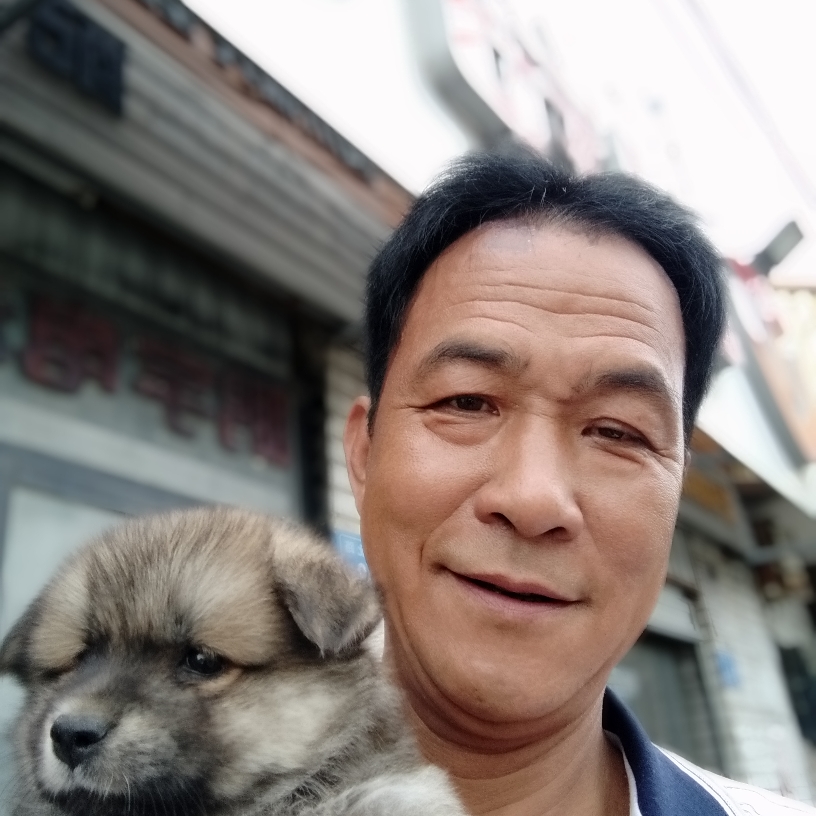 斯文就蓝莓的照片