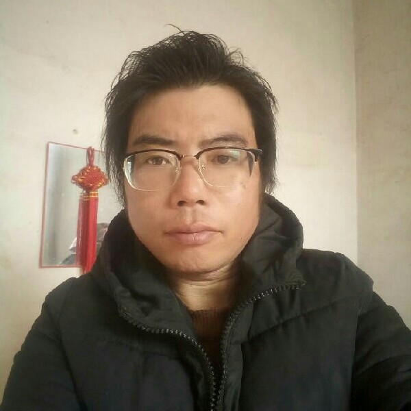时尚狗的照片
