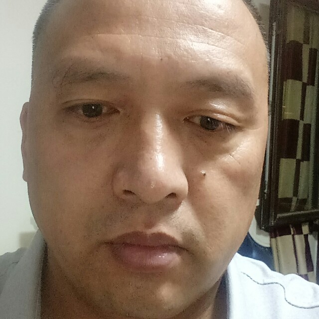 笨笨向爱情的照片