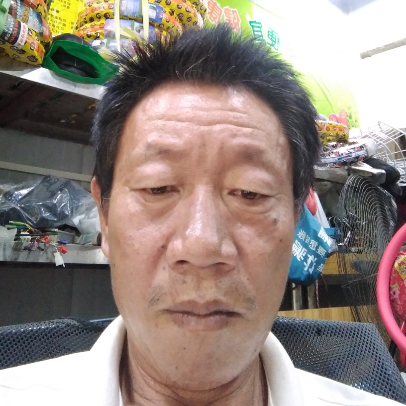 朝庭的照片