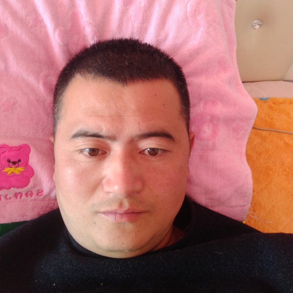 1266的照片