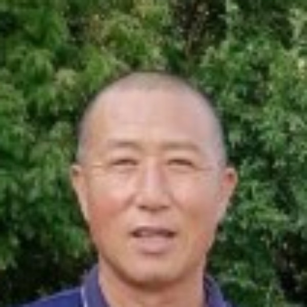 灰狼给阳光的照片