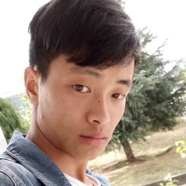 网络蹁跹疯狂的照片