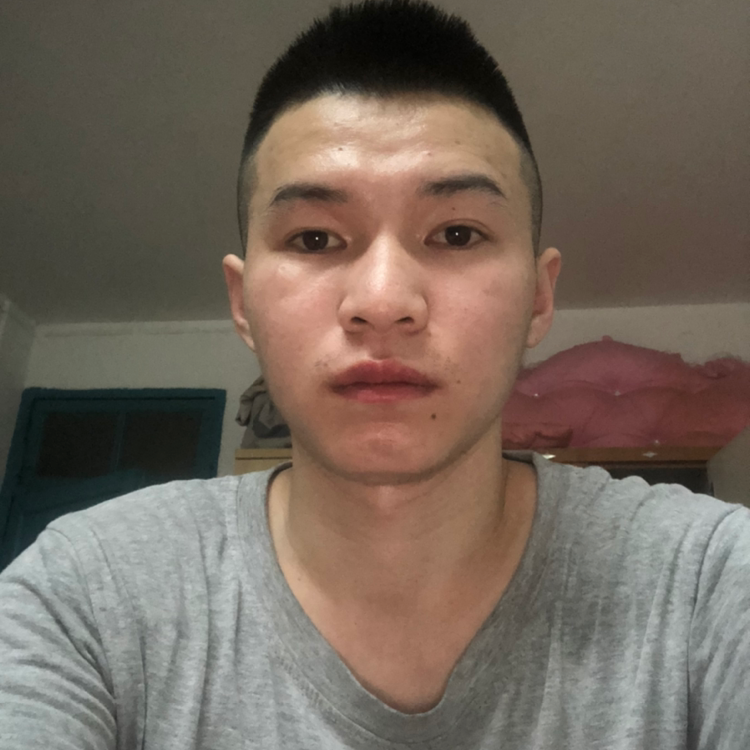 聪慧与树叶的照片