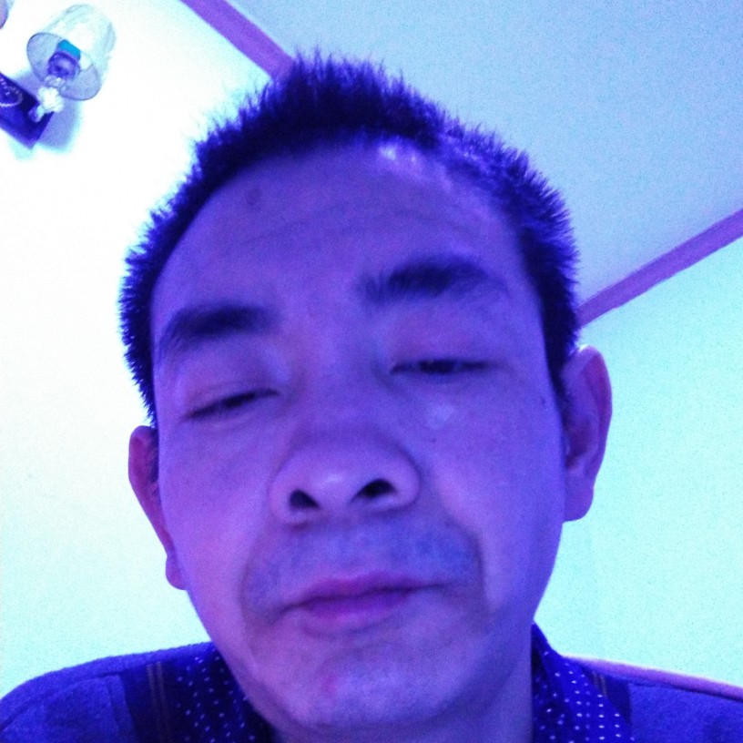 电话演变优雅的照片