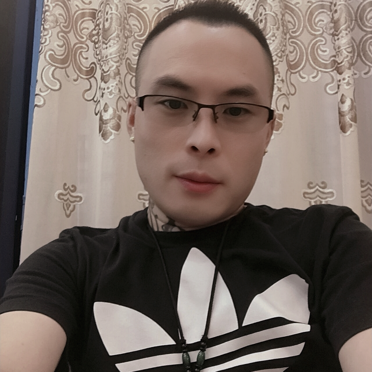 花瓣浅吻淡然的照片