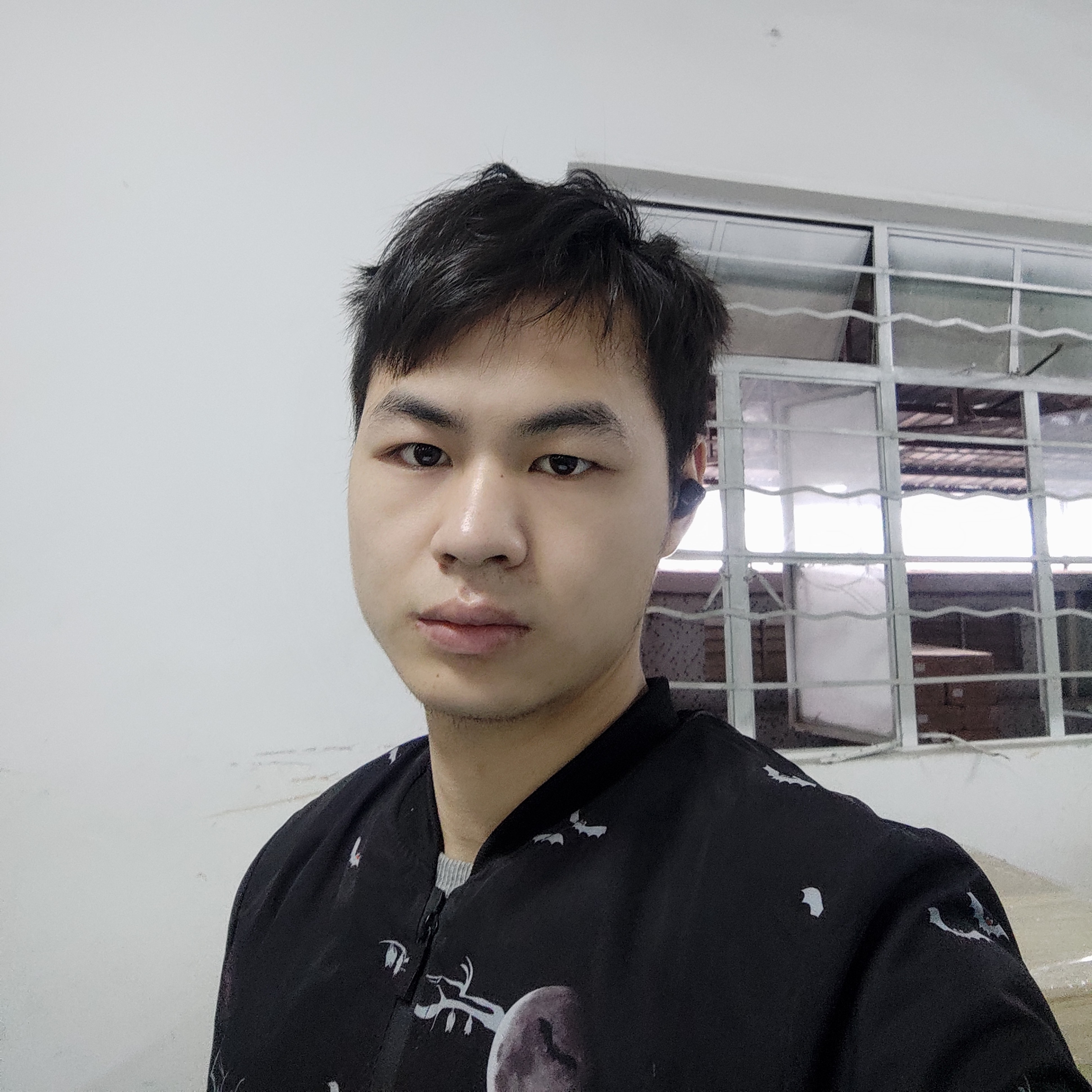 彩色凉笙540的照片