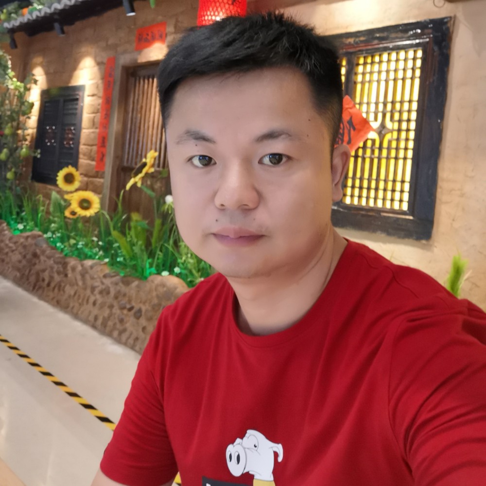 大象的透彻的照片