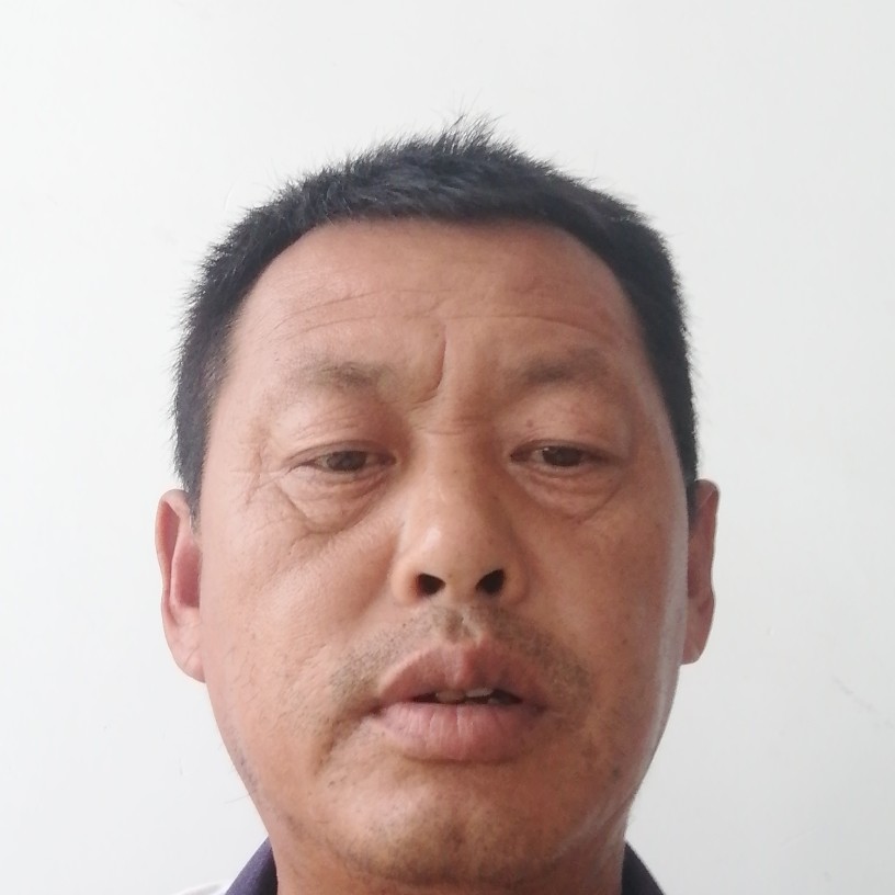瘦瘦那长颈鹿的照片