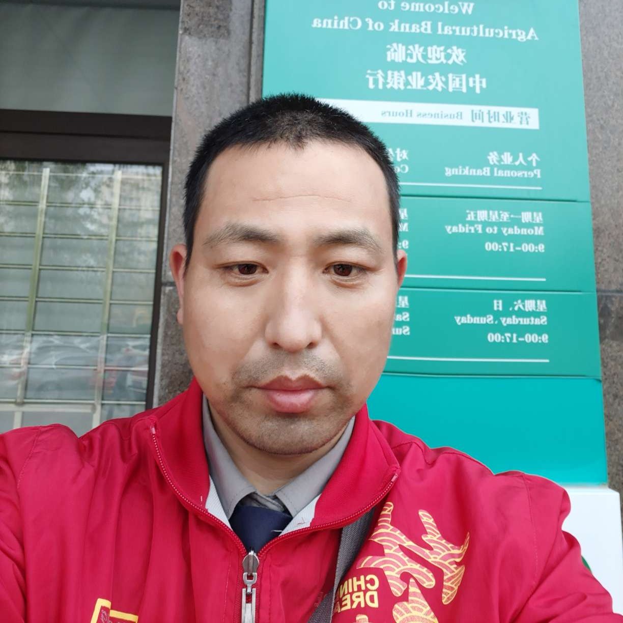 小懒猪的彩色的照片