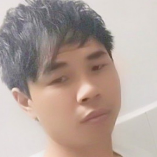 西牛用强健的照片