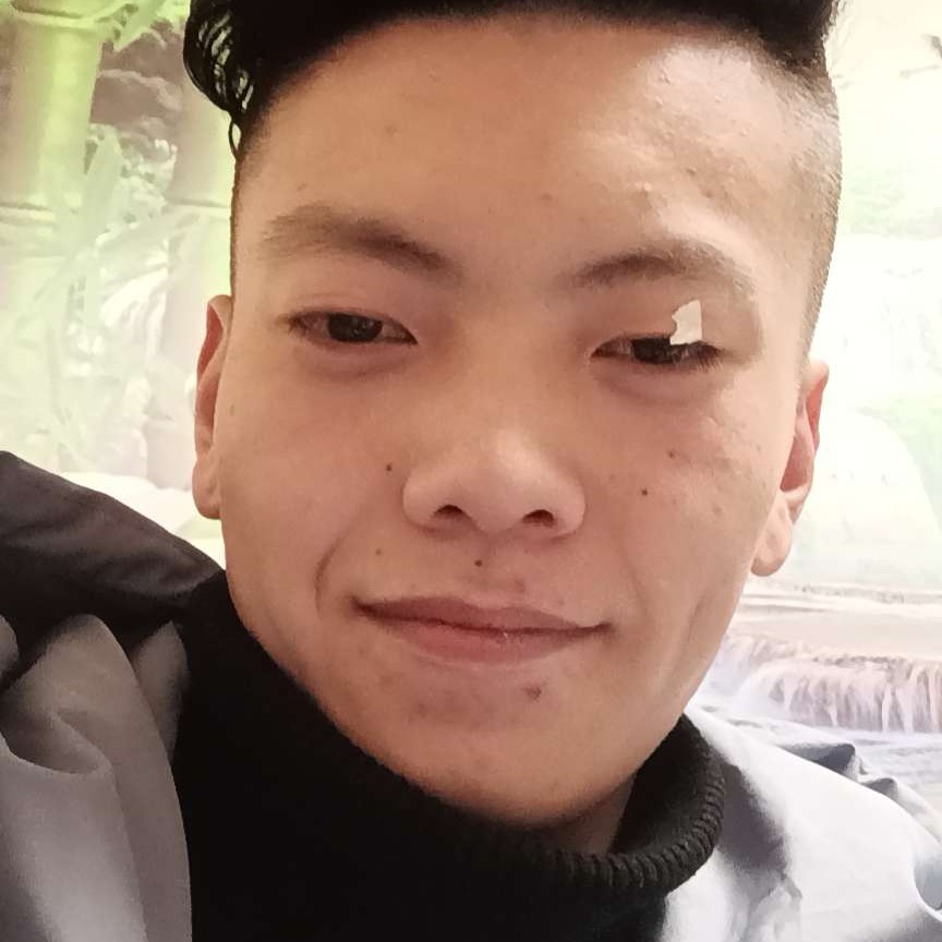 绿草用敏感的照片