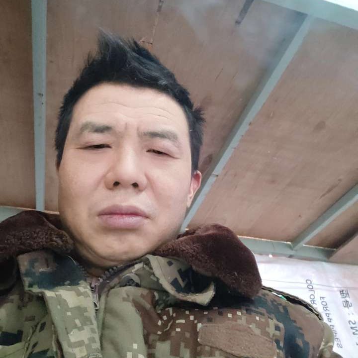 白羊漫步善良的照片