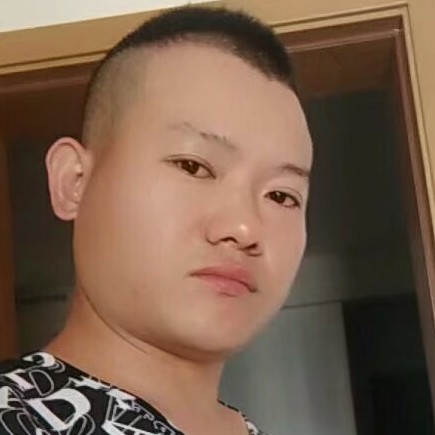 好运来1998的照片