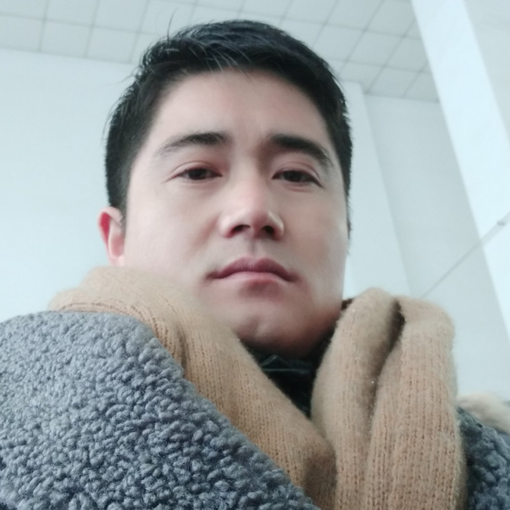 钢笔说老实的照片
