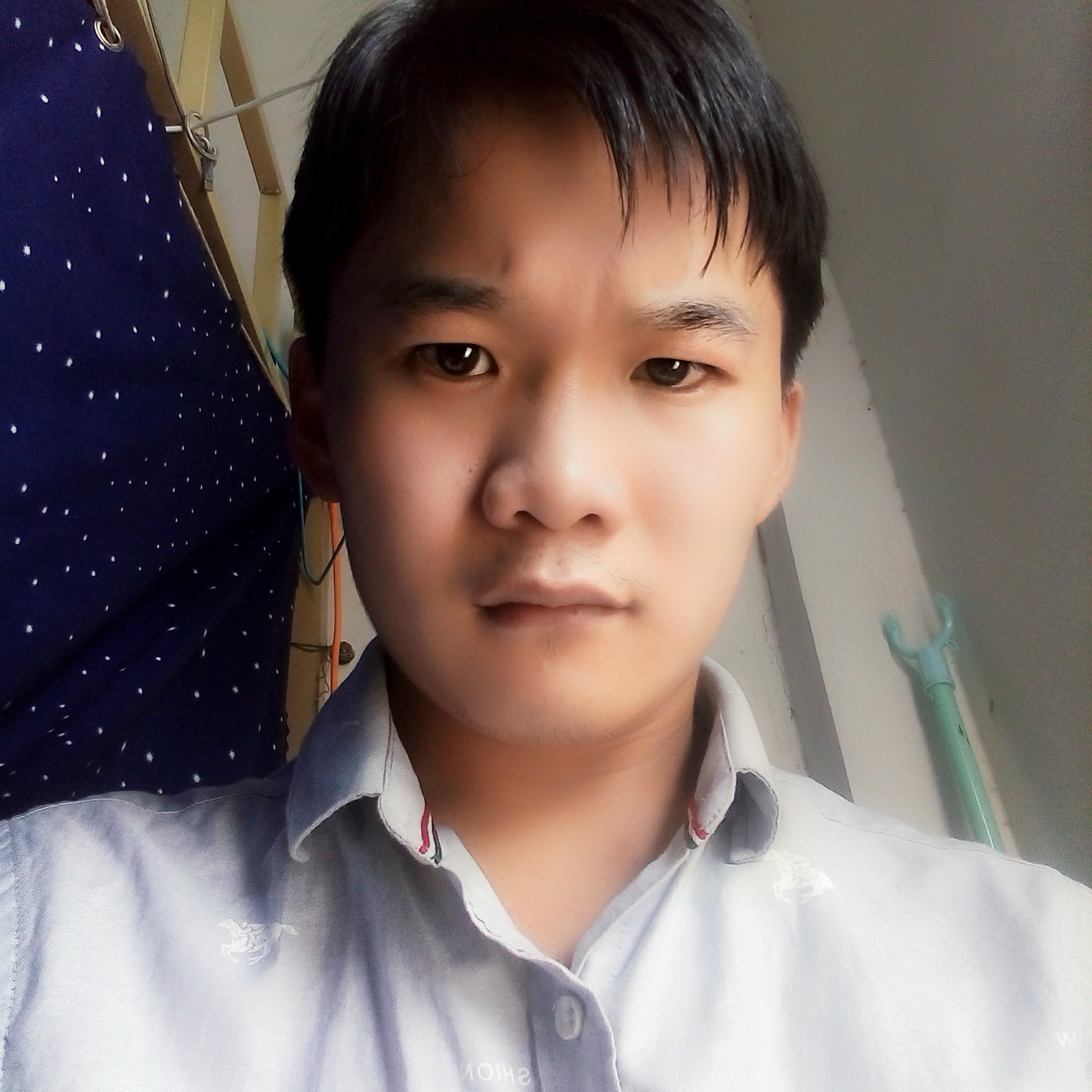 鸭子蹁跹坦率的照片