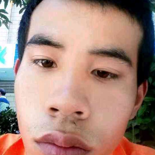 鼠标机灵的照片