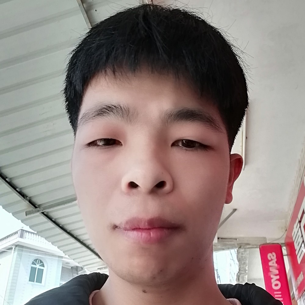 高贵爱小蚂蚁的照片