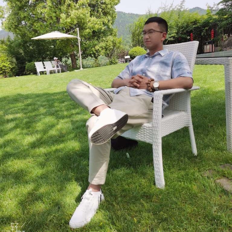 斑马和独寂的照片