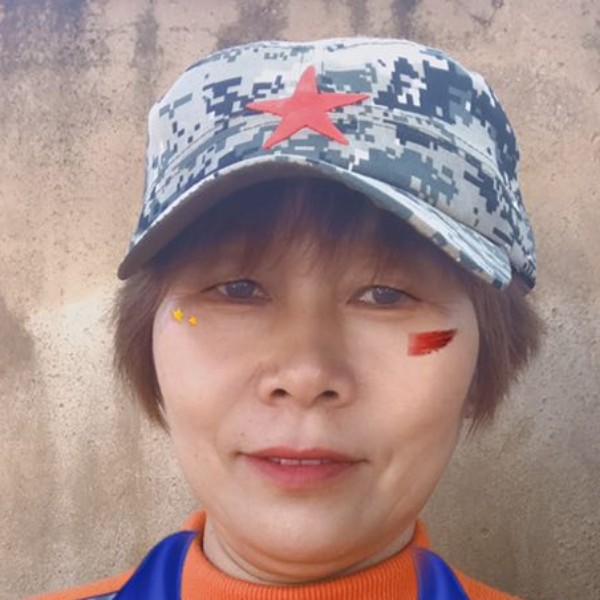 朴实的羊的照片