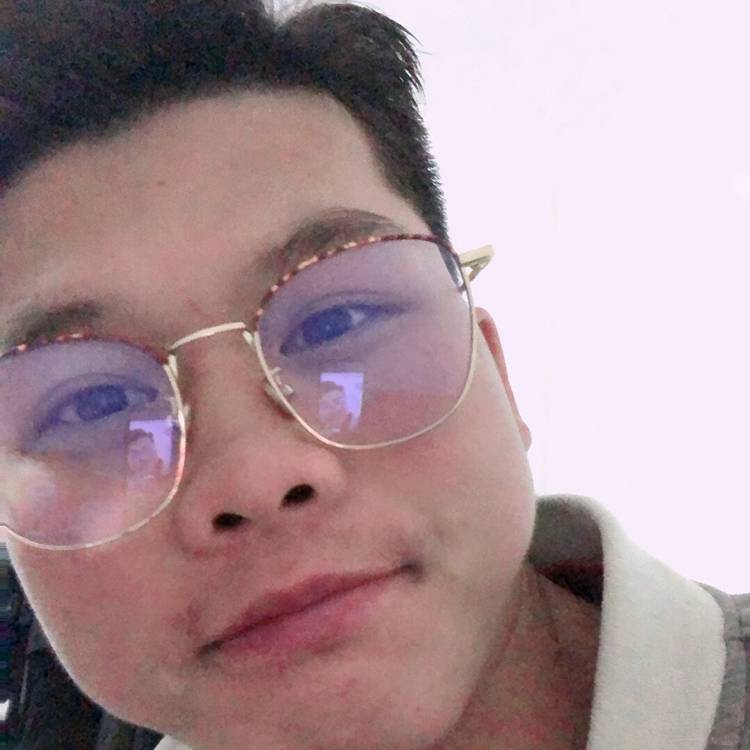 迪乐的照片