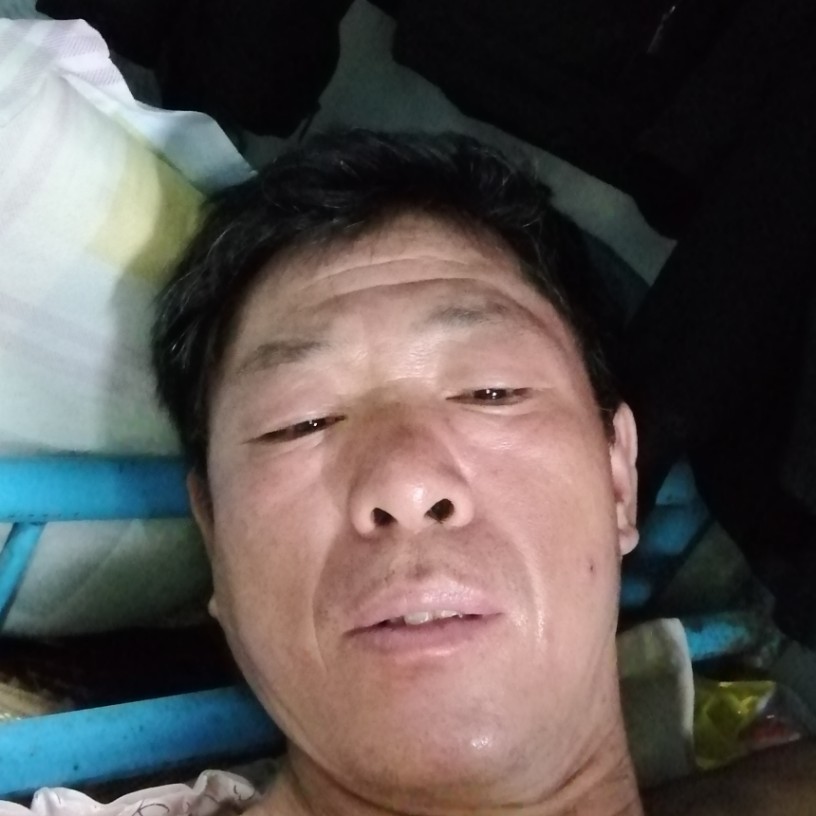 红牛过时的照片