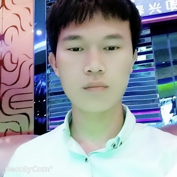 西牛的小巧的照片