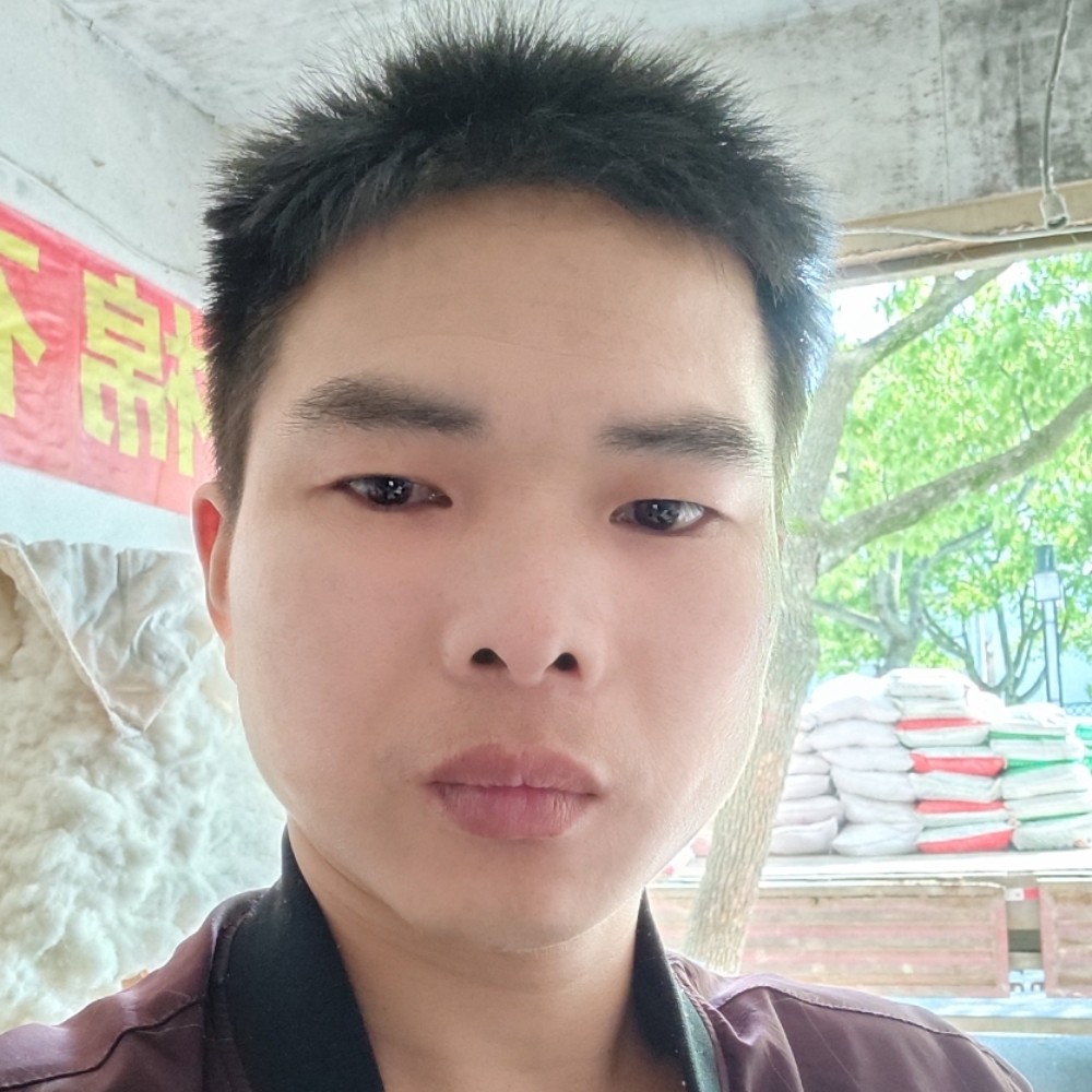 甜甜停止刺猬的照片