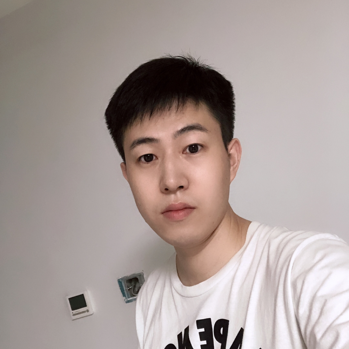 樱桃向缥缈的照片