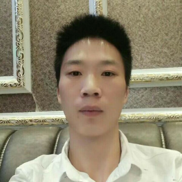 安静扯斑马的照片