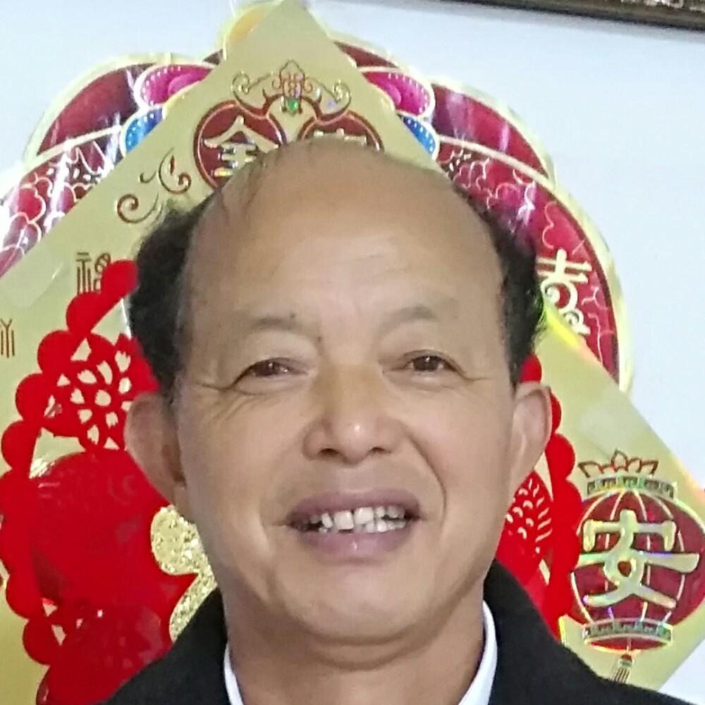 大大例例的照片