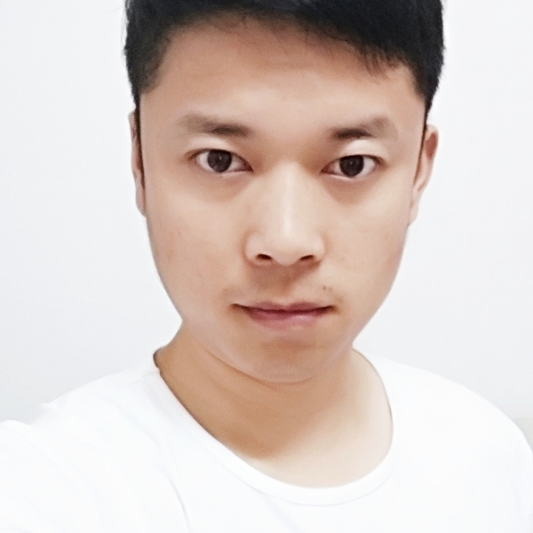 辛勤蚂蚁的照片