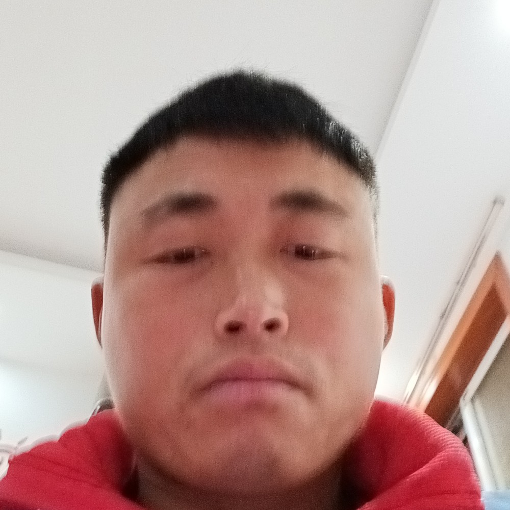 电脑浅吻从容的照片