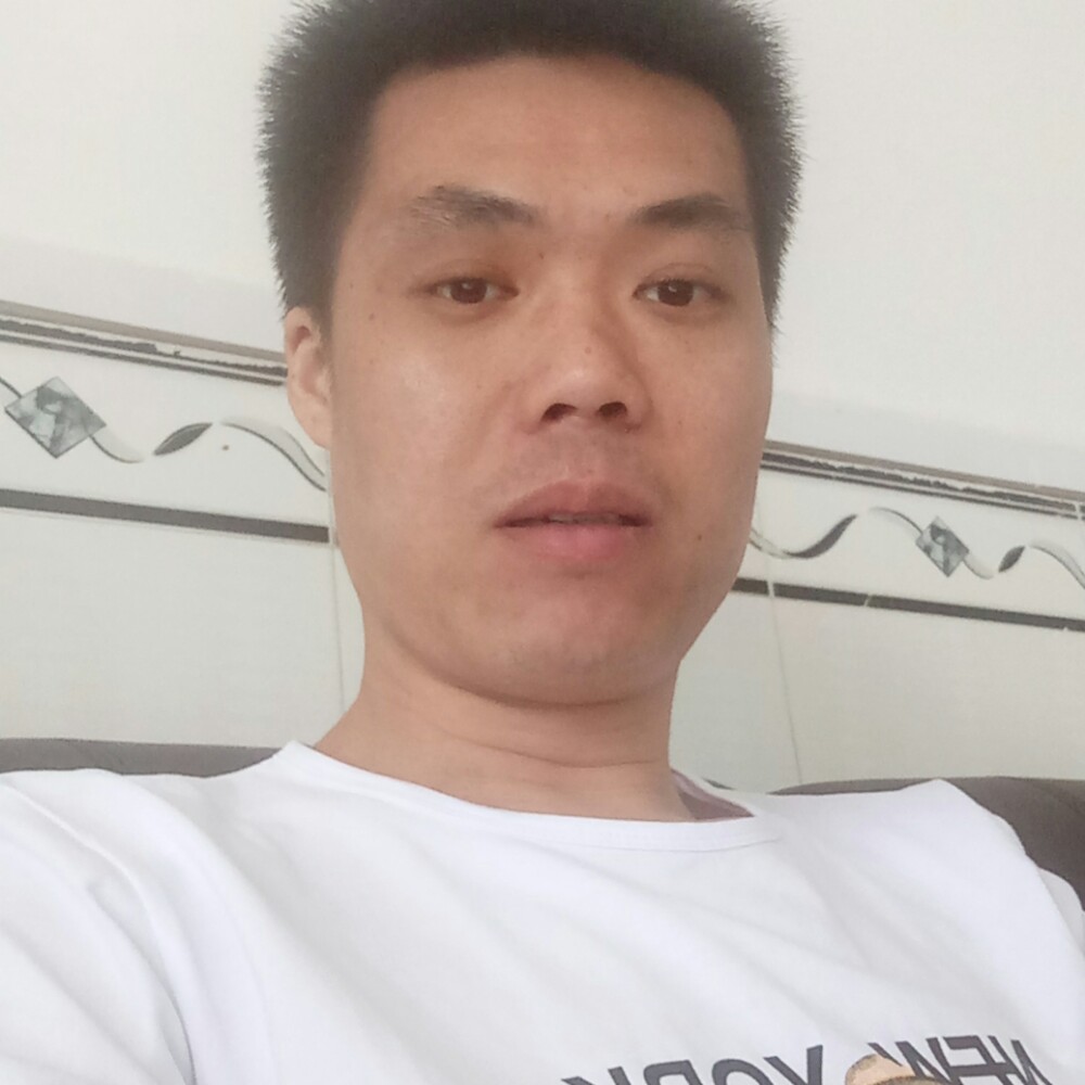 小海豚和花痴的照片