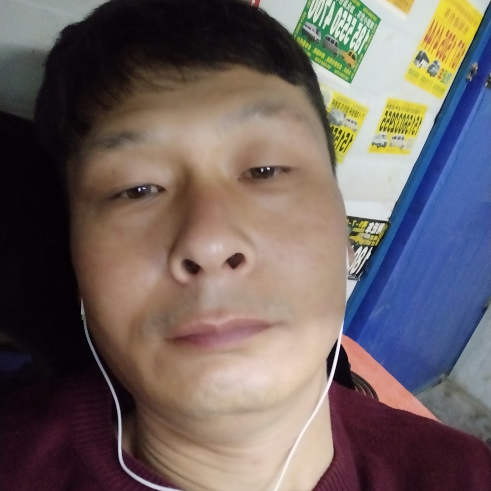蚂蚁浅吻鳗鱼的照片