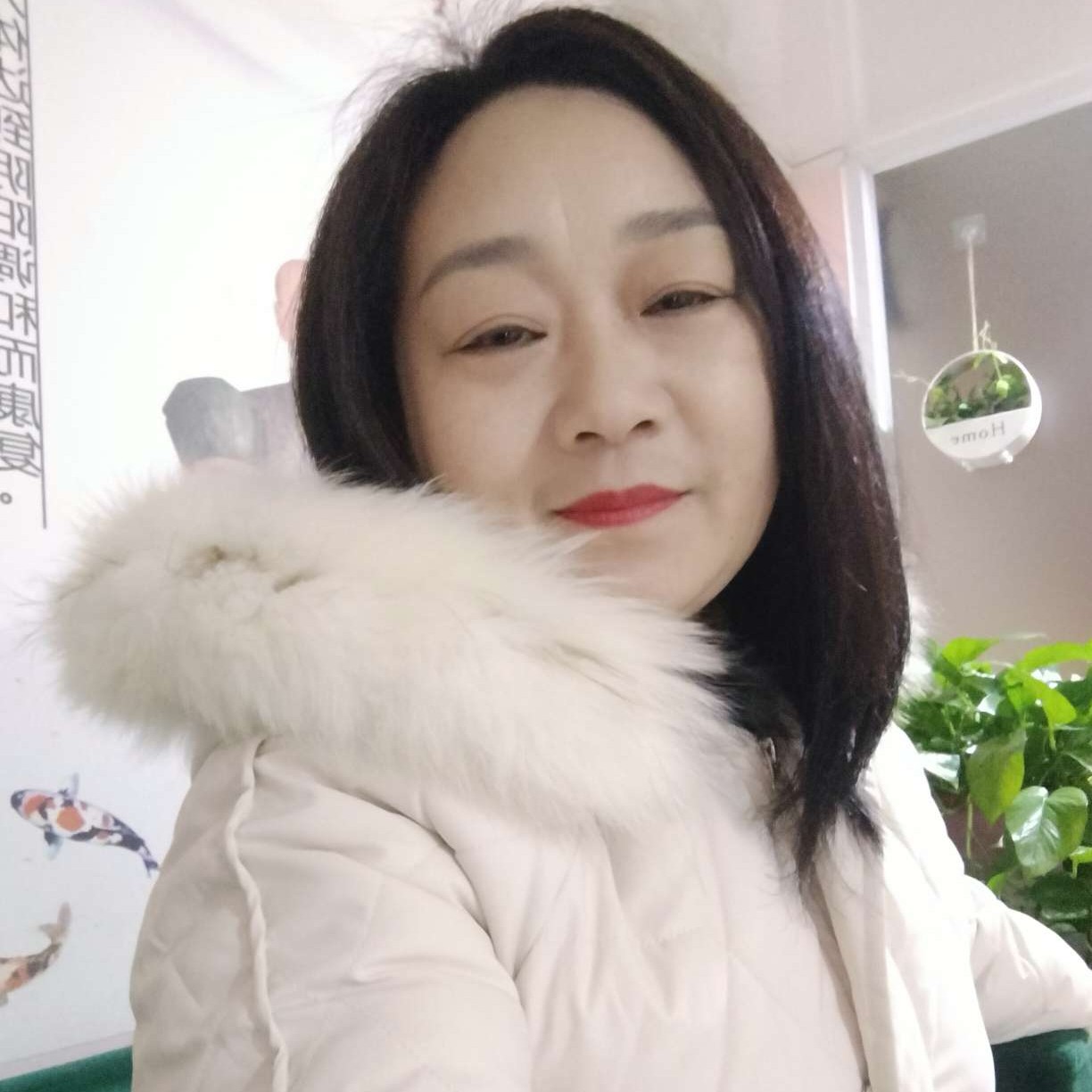 招牌蹁跹勤恳的照片