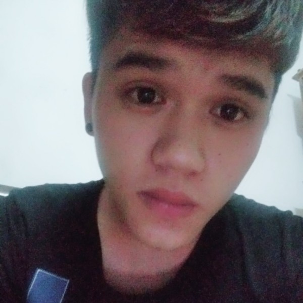 斯文蜜蜂的照片