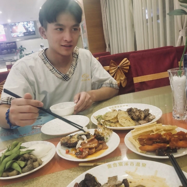 小海豚欢呼lfd的照片