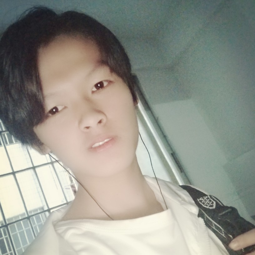 不为所动哈的照片