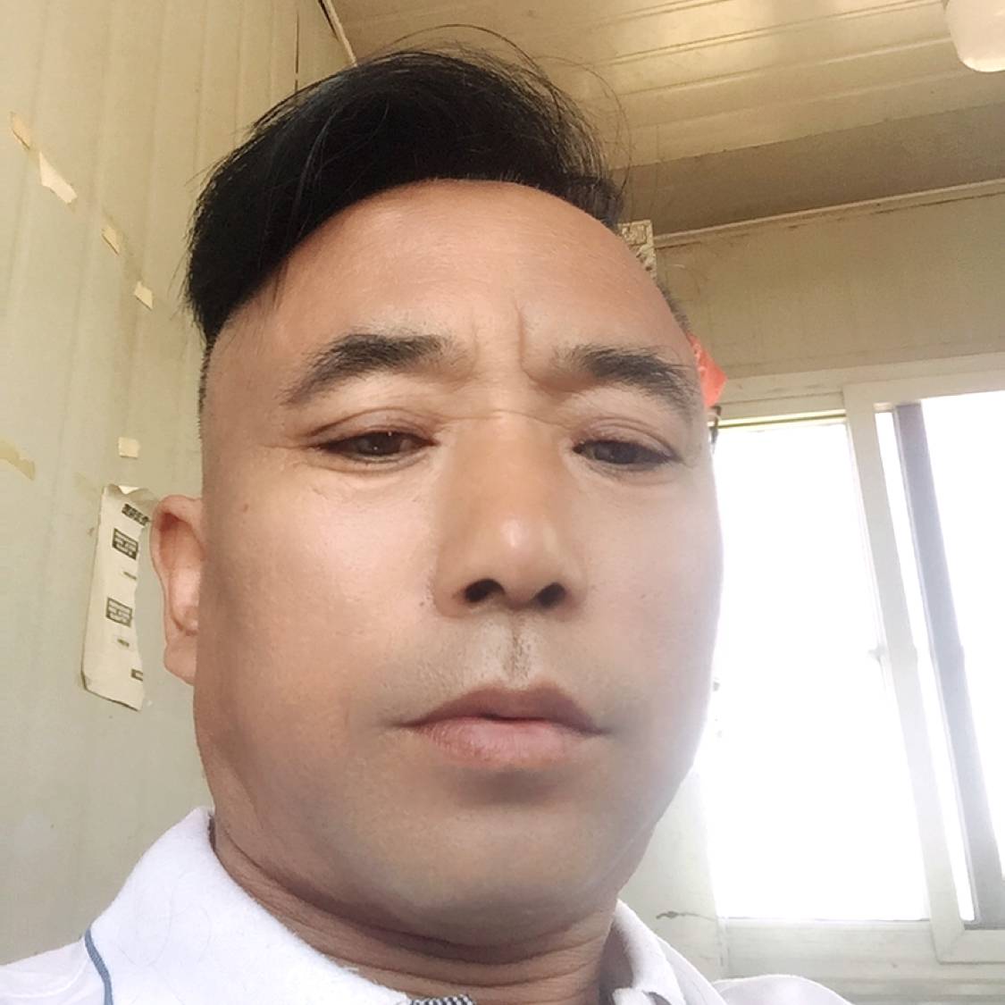搞怪吃醋黑猫的照片