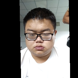 R槟榔的照片