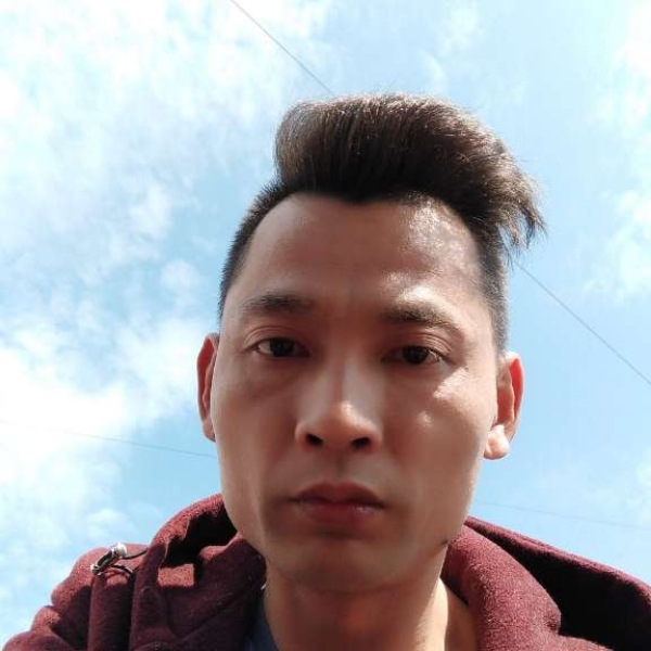 动听回眸白猫的照片
