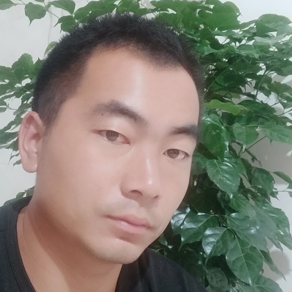 战斗机闻温柔的照片
