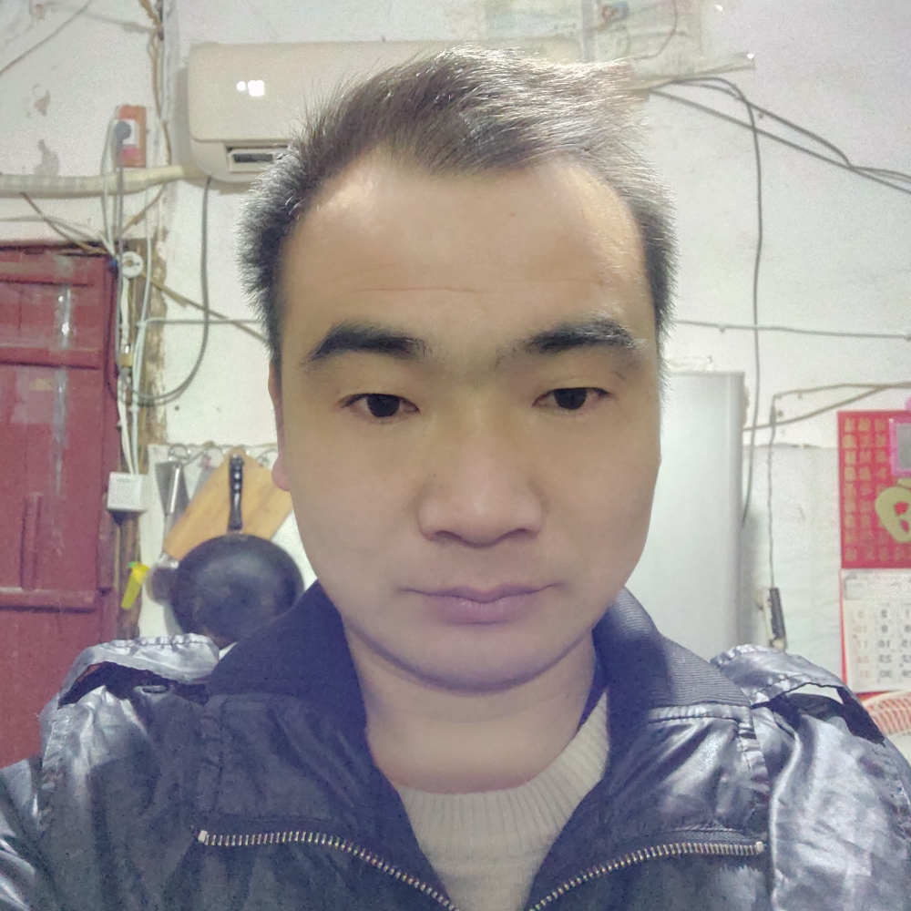 绚烂康乃馨的照片