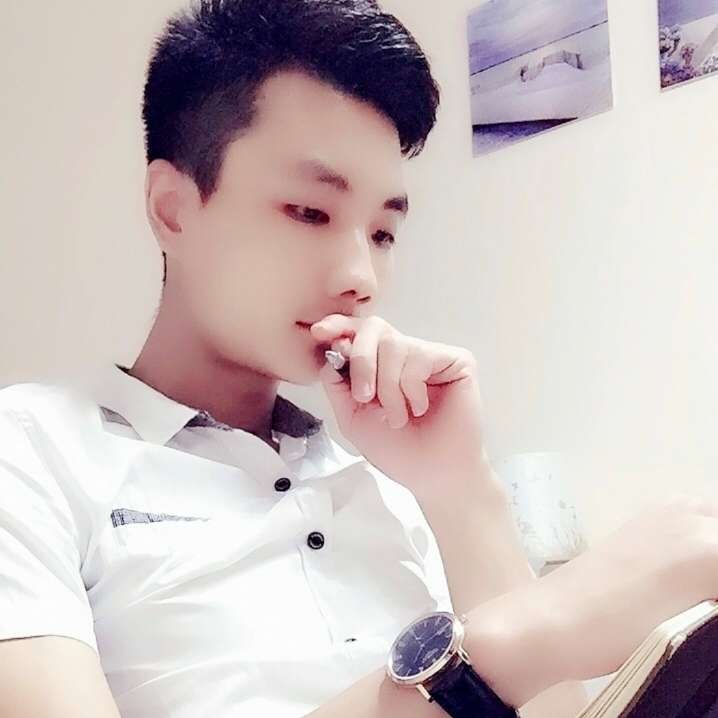 向日葵有恬静的照片